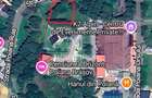 Teren intravilan în Poiana Brașov 1404 mp, str. Poiana Ruia - 2