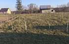 Casă cu 7 camere cu Garaj în Marginea - 12