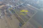 Teren 6.057 mp in Radulesti cu deschidere 30 metri la asfalt - 2