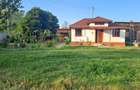 Casa de vanzare-Pitesti, sat Profa Deal - 3