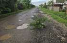 Teren Construcții intravilan de 399 mp, în Tunari - 5