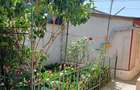 Casă cu 5 camere cu Teren 250 Mp în Radu Negru - 5