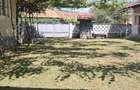 Vand casa in loc Tihau - 5