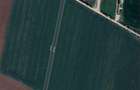 Pret redus! 10000mp intravilan Snagov Peris Tancabesti - 5