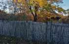 Teren mixt de vanzare, 5296 mp, acces asfaltat - 12