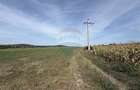 Teren agricol extravilan de 11300 mp, în Bonțida - 3