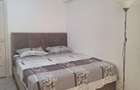 Inchiriez apartament Visan - 3