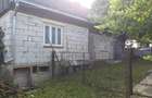 Casa de vanzare + Anexe + teren 1ha Solonet Suceava - 1