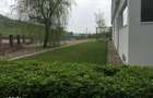 Spatiu de inchiriat, 4 camere open space , langa padure - 3