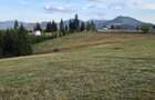 Teren Piatra Fantanele pasul Tihuta - 3