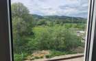 Camera de camin de vanzare in Curtea de Arge?. - 1