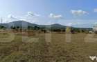 Teren 49 Ari, partial intravilan 13 ari, cu deschidere la DN - Bistrita (Bistrita-Nasaud)