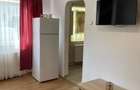 Ultracentral zona McDonalds - Apartament cu 1 camera Baia Mare - 2