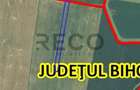 RECO Teren extravilan 5800 mp Livada de Bihor - 4