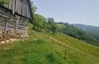 Teren intravilan de vanzare, 26.000 mp, Bulz, Bihor,Gaminvest,V4693 - 1
