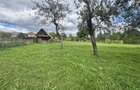 6.605 mp de natura pura refugiu, afacere sau investitie in Candest - 14