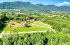 Teren intravilan zona Bran-Tohanita,langa padure intre 500 si 1000 m