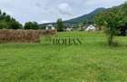 Teren intravilan 5360mp Bistrita Nasaud | Tiha Bârgăului - 2