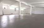 Spatiu birouri openspace 220 mp - Circumvalatiunii - Timisoara (Timis) - 1