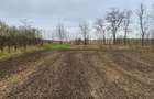 Teren Dorohoi - 23000 mp - Sau - Parcele 1000mp, 900mp, 1500mp, etc.