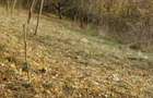 Teren intravilan 1600 mp Podu Cheii, 4 km de Baraj Paltinu