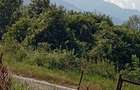 Teren intravilan 1.000 mp+Cabana Noua+Asfalt+Utilitati, panorama Superba spre Munti, altitudine 600 m, liniste absoluta, Daesti, Valcea - 3