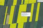 Vand teren agricol extravilan in sat Urseni, 18000mp, la 200m de toate utilitatile, pe sud, 3km Timi - 3