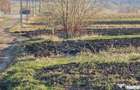Teren extravilan 6,100mp Stroiesti / Soseaua DN17, Suceava - Stroiesti (Suceava) - 7