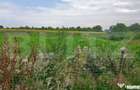 Teren parcelat pentru construc?ii, 5054.03 mp, zona Corne? - Cornesti (Dambovita)