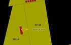 Teren intravilan in Vadul Anei (Branesti,Ilfov): 3100mp - 1