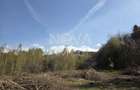 Teren intravilan de vanzare - Vistisoara - 6