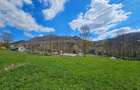Oportunitate de Investi?ie: Teren Intravilan 2000 mp in Valea Doftanei - 9
