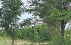 Teren intravilan 32ari Culciu Mare 64 m front aproape de strada principala - 1