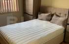 Apartament cu 2 camere, 42 mp, zona Dambovita - 2