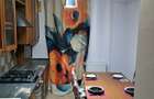 Inchiriere Apartament 2 Camere Craiova - 3