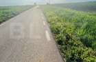 Teren 5500mp extravilan,Sat Dimoiu - 1