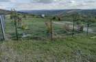 Vand gradina de relaxare, Cluj-Napoca, in capatul strazii Valea Fanatelor spre Padureni - 10