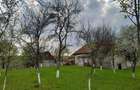 Casa + teren de vanzare in Brad, Hunedoara proprietar - 5