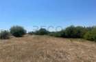RECO Teren extravilan Holod 27400 mp - 8