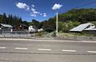 Teren 1,500mp Lepsa / Strada Manastirii - 9