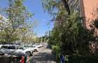 Apt 2 cam stradal Tineretului / D. Cantemir - et 1 - renovat - 5