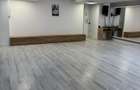 Sala dans - cautam colaboratori - 4