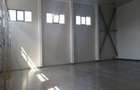 Spatiu depozitare Calea Bucurestilor Otopeni IF