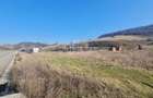 Ivanesti Mures teren intravilan 4 parcele de vanzare - 1