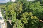 inchiriez - ap. cu 4 camere Gheorgheni pentru Electric Castle si Untold - 1