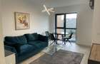 Apartament 2 camere mobilat Parcului20 - 7