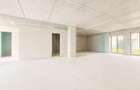Spatiu comercial de 178mp | SAD | Central - 6