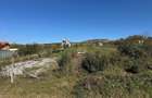 Teren intravilan in localitatea Betfia - 1