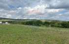 Teren de vanzare 13783mp, front la DN, parcela unica zona de vest - 4