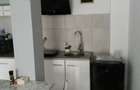 Apartament cu 2 camere nedecomandat în Poiana Țapului - 3